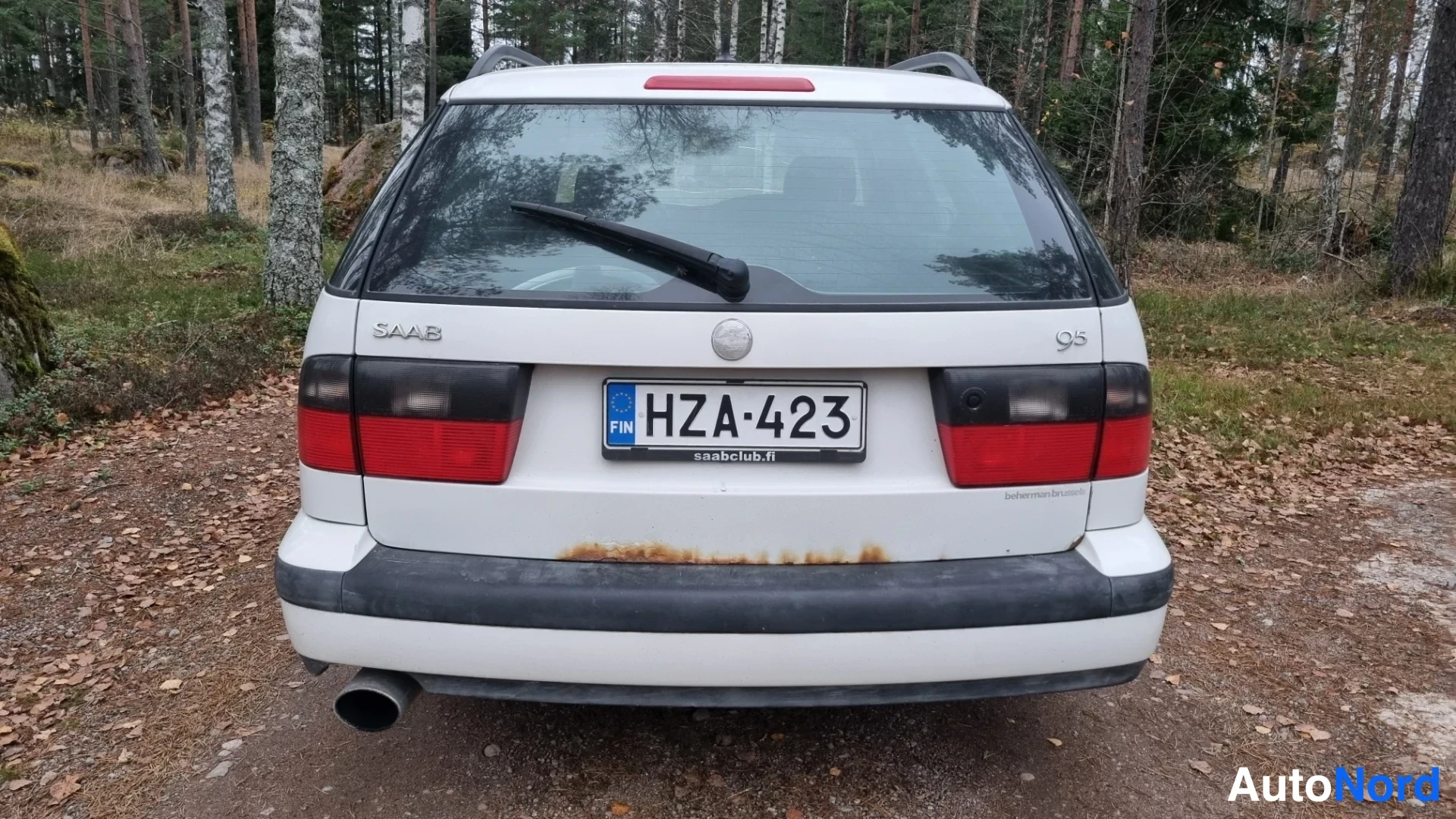 Valkoinen Saab 9-5 2001, takaa, kuva 8