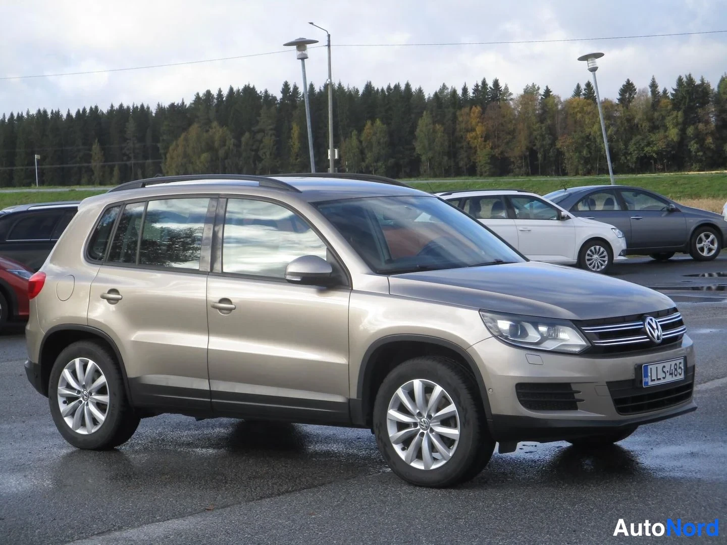 Ruskea Volkswagen Tiguan 2013, etuviisto, keula oikealle, kuva 4