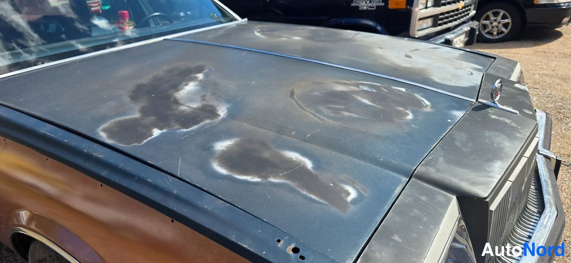 Kupari Buick Electra 1985, yksityiskohta, kuva 12