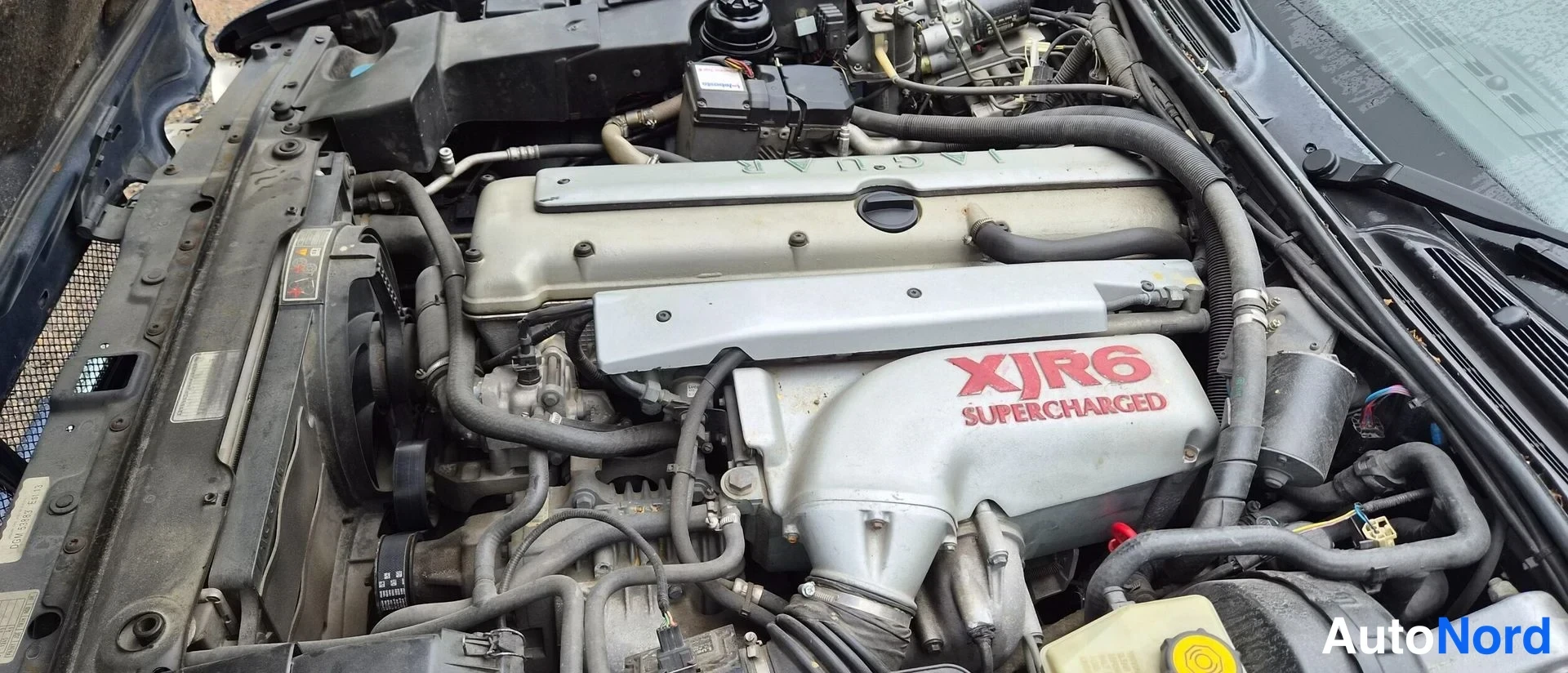 Sininen Jaguar XJR 1995, moottoritila, kuva 20