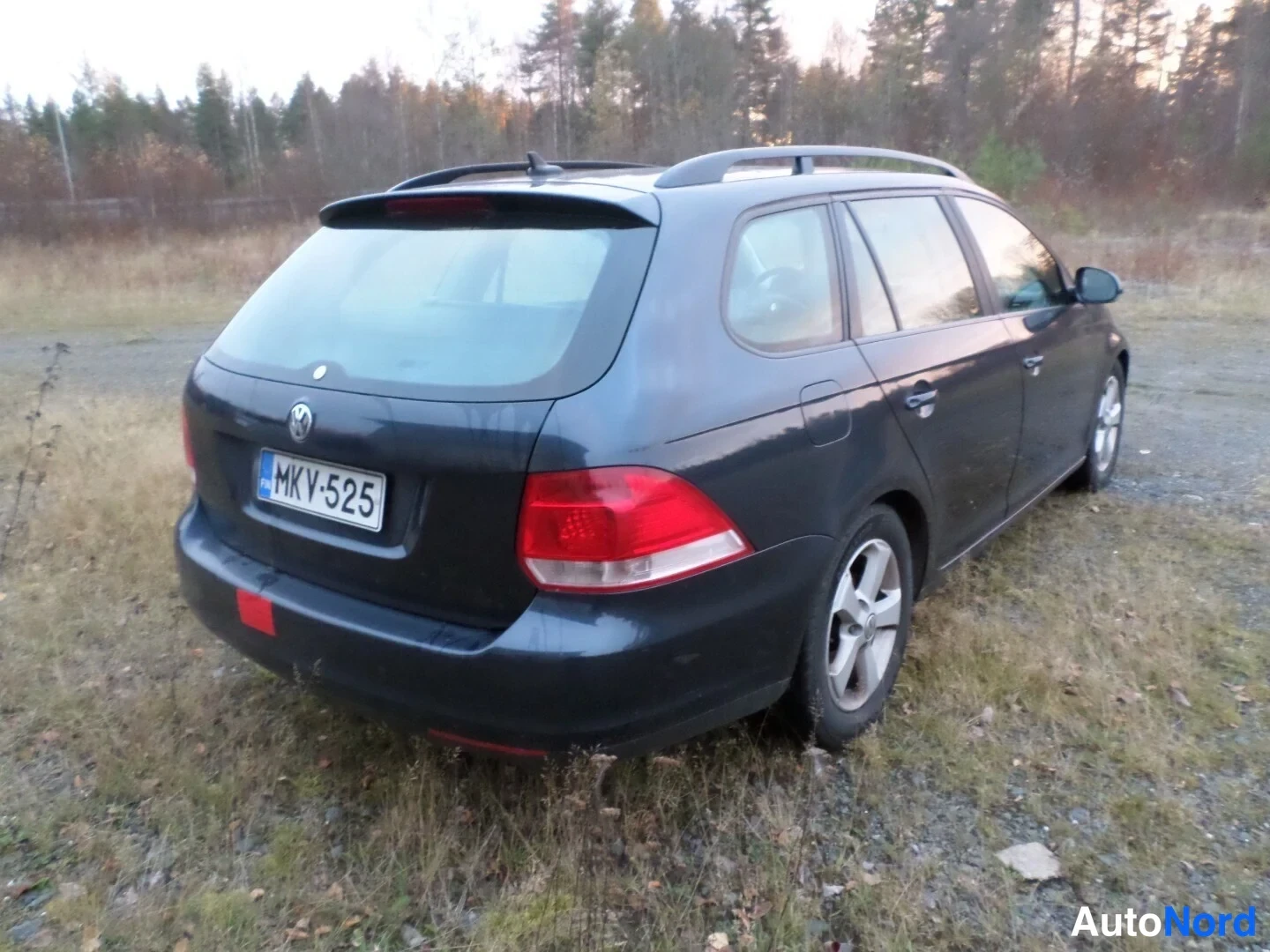 Sininen Volkswagen Golf Variant 2008, takaviisto, kuva 7