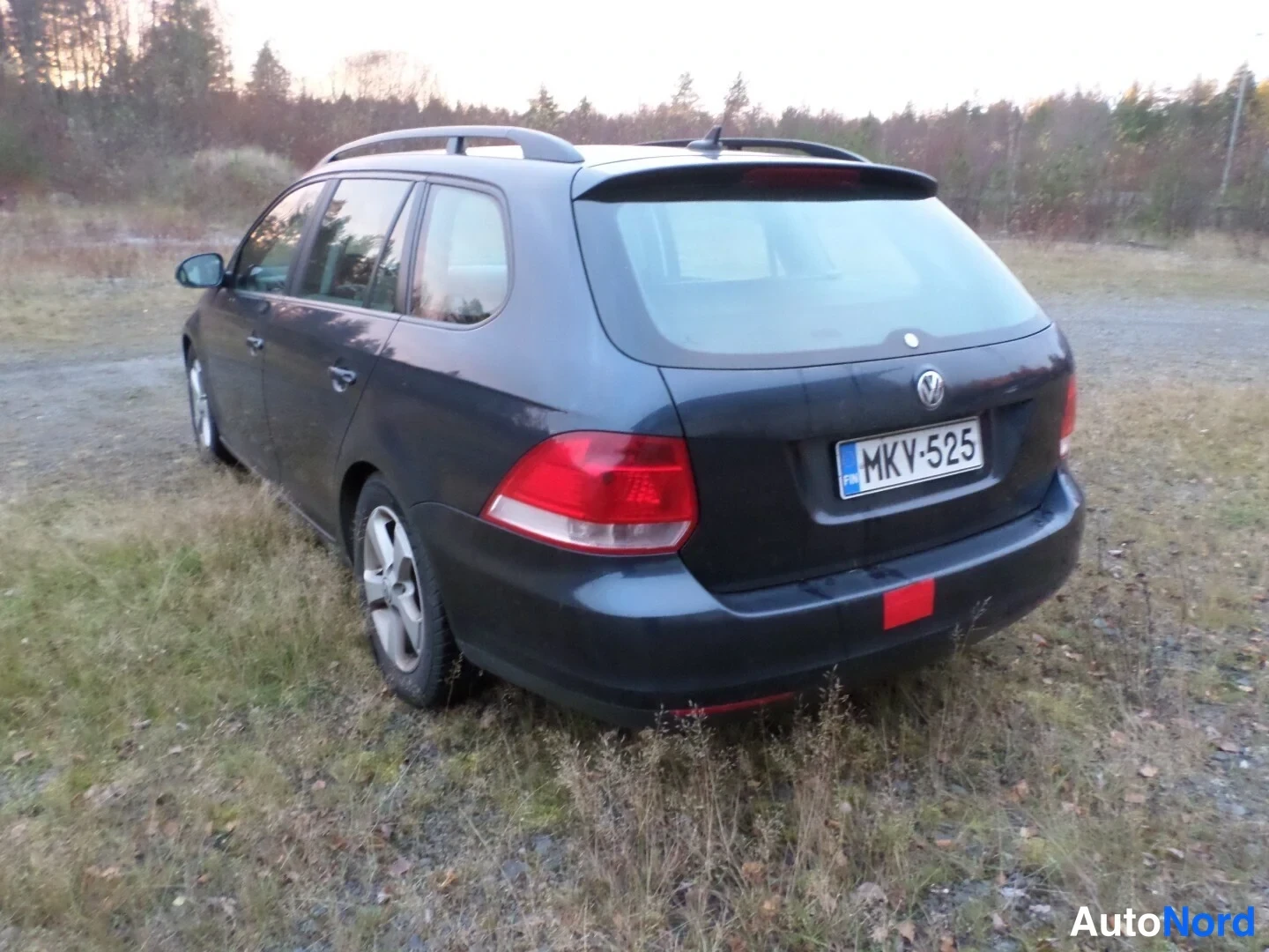 Sininen Volkswagen Golf Variant 2008, takaviisto, kuva 5