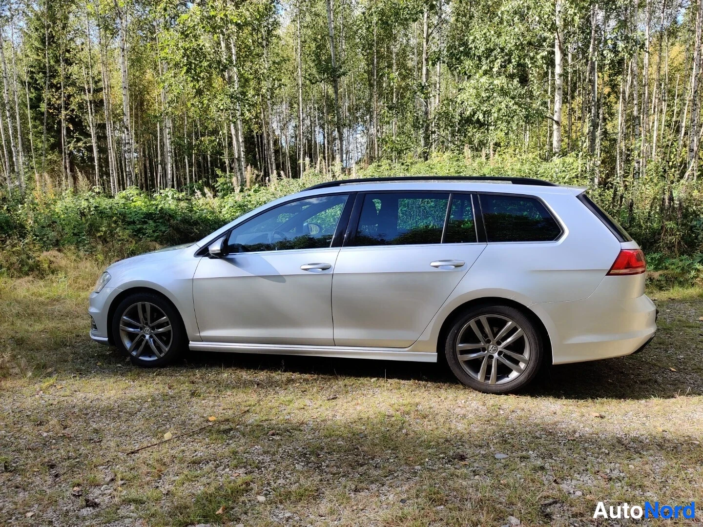Hopea Volkswagen Golf Variant 2015, sivulta, kuva 13