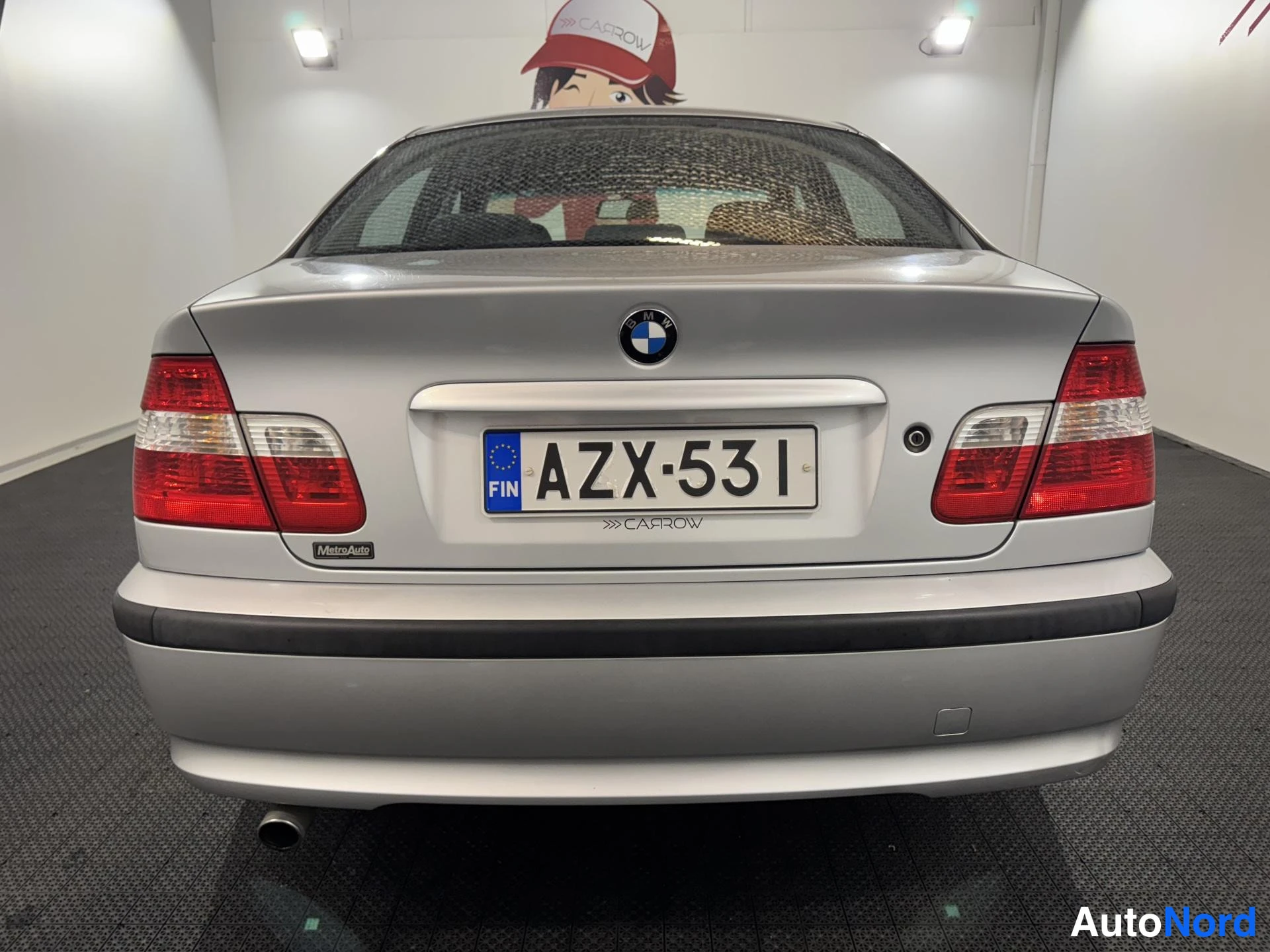 Harmaa BMW 318i 2003, takaa, kuva 8