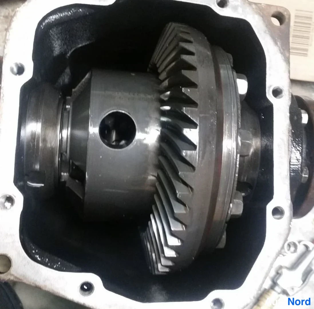 Hopea BMW M3 2004, yksityiskohta, kuva 17
