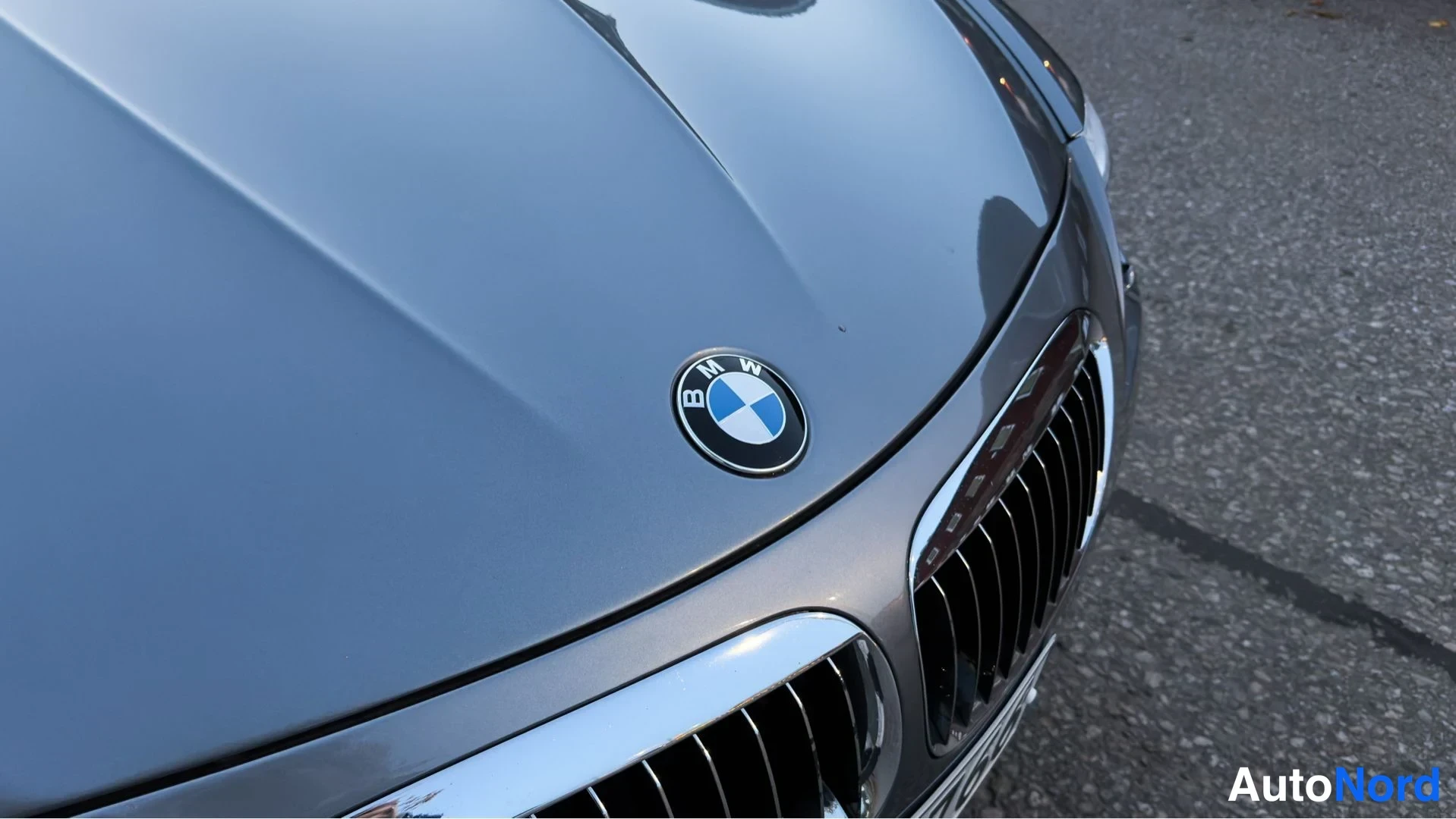 Hopea BMW 650i 2009, yksityiskohta, kuva 22