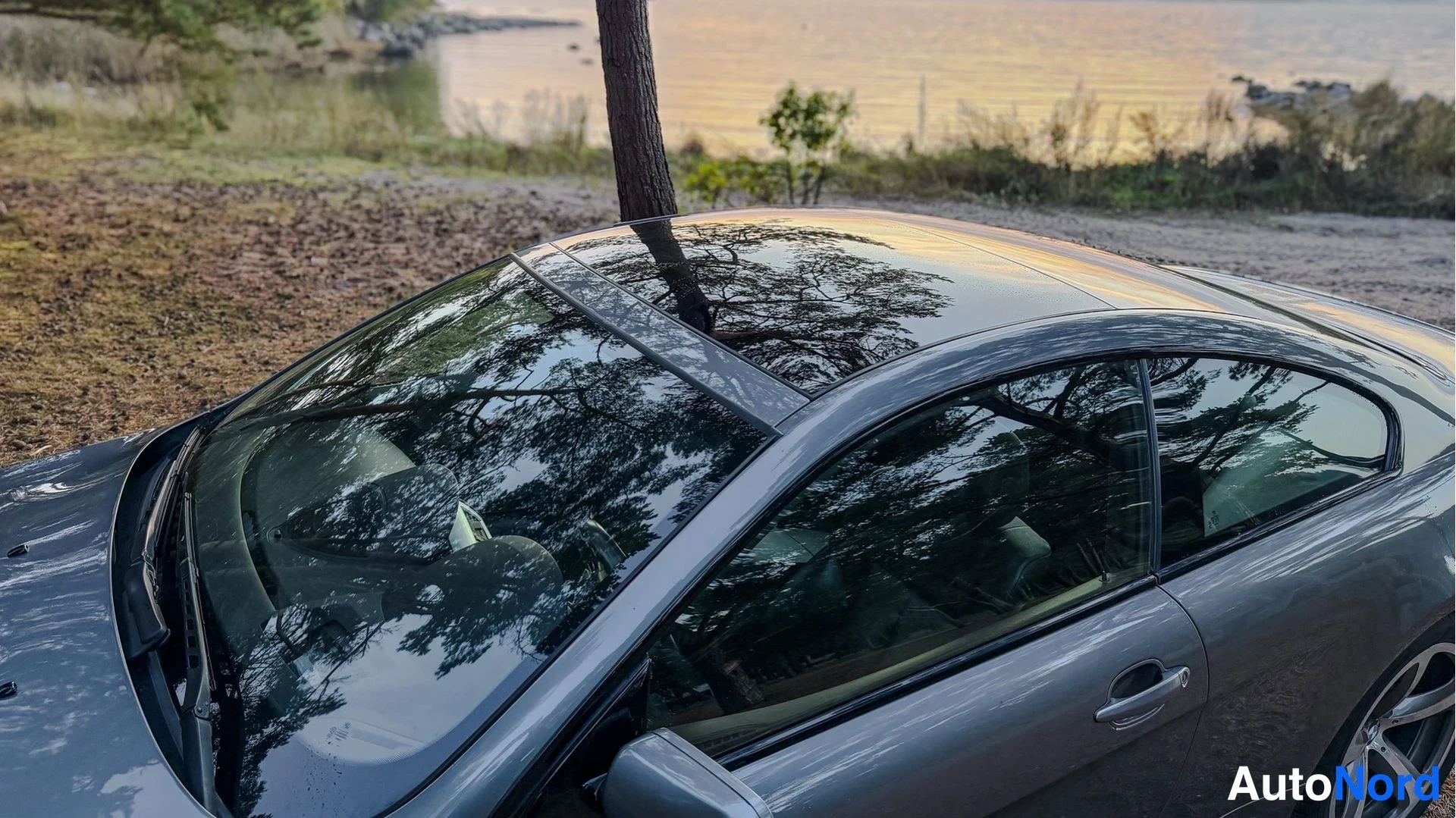 Hopea BMW 650i 2009, yksityiskohta, kuva 25