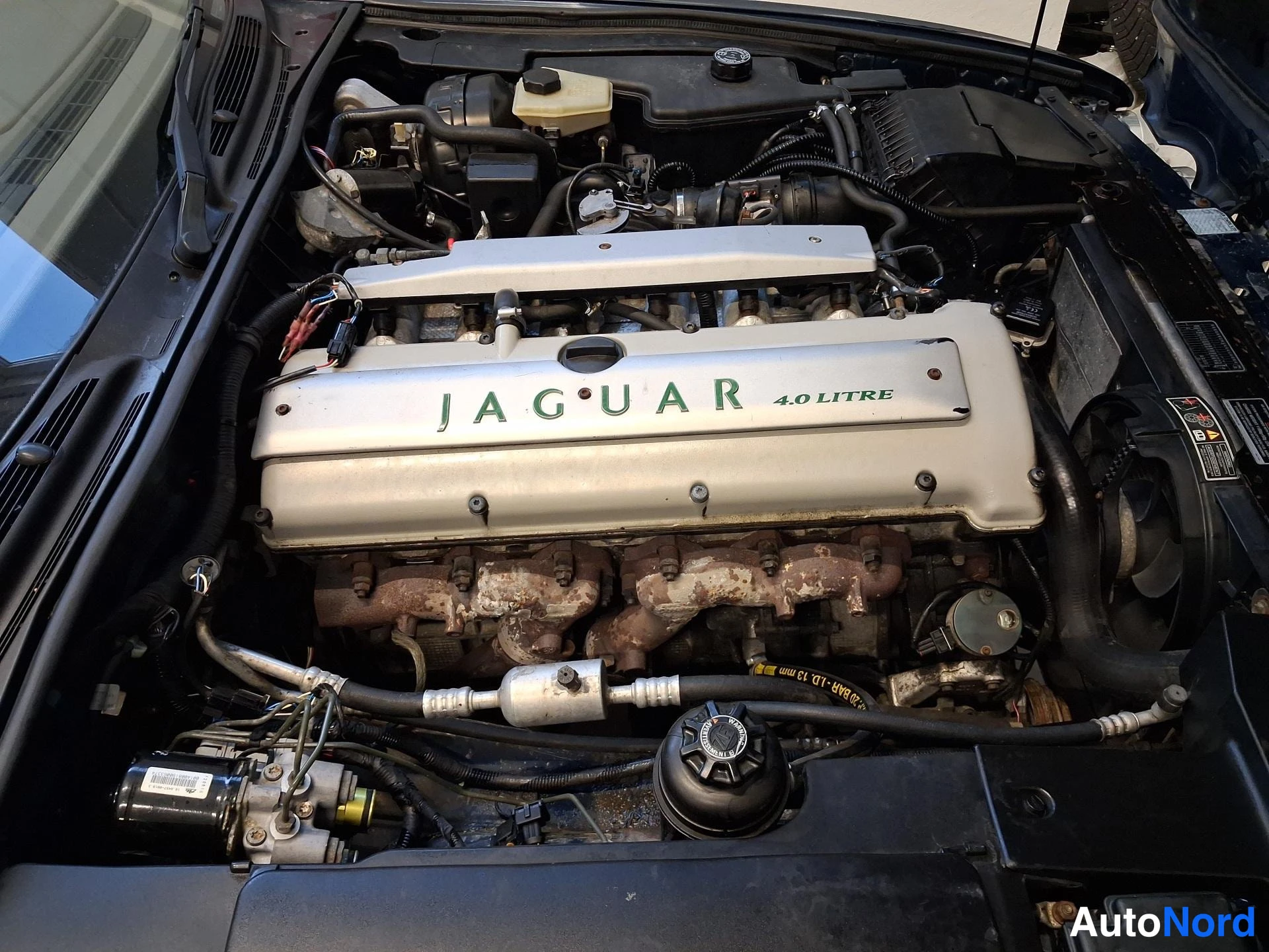 Sininen Jaguar XJ6 1996, moottoritila, kuva 15