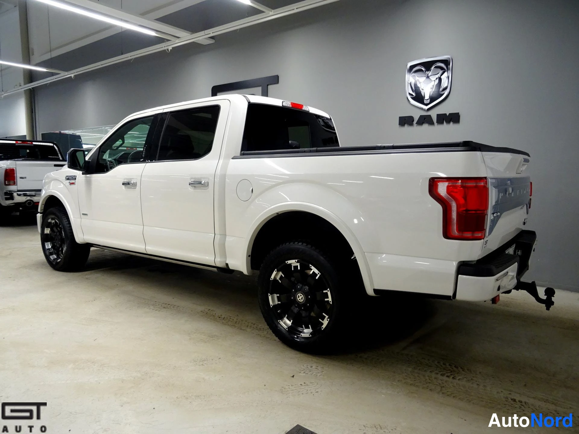 Valkoinen Ford F-150 2016, takaviisto, kuva 8