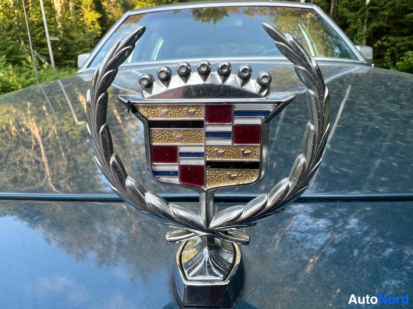 Blå Cadillac Fleetwood 1977, detalj, bild 33