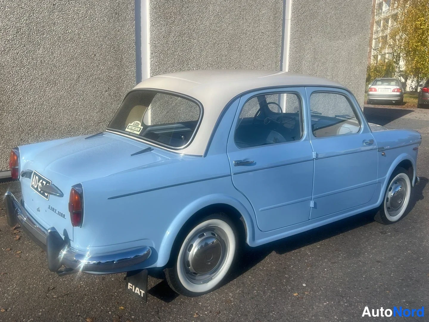 Blå Fiat 1100 1960, snett bakifrån, bild 12