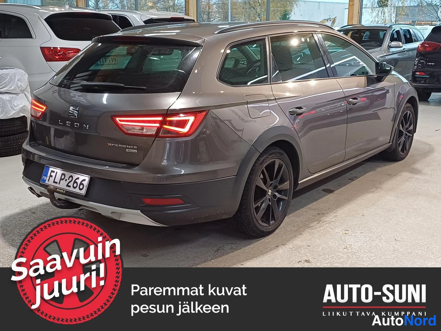 Harmaa Seat Leon X-Perience 2015, takaviisto, kuva 3