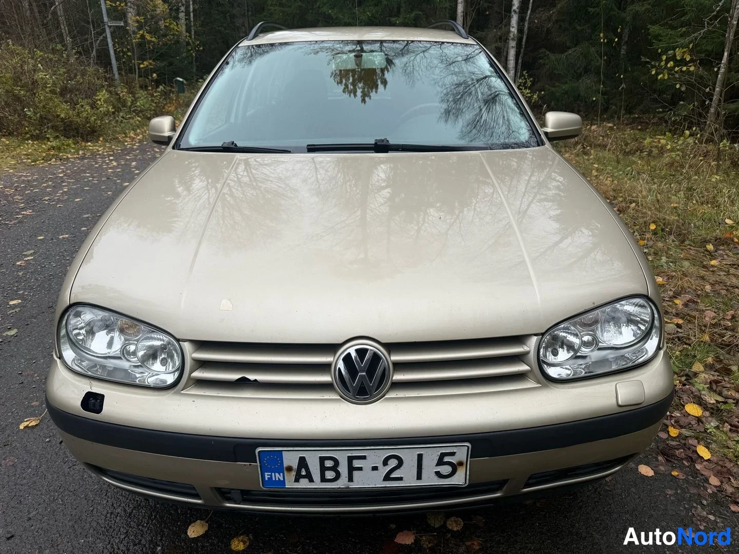 Beige Volkswagen Golf 2004, edestä, kuva 3