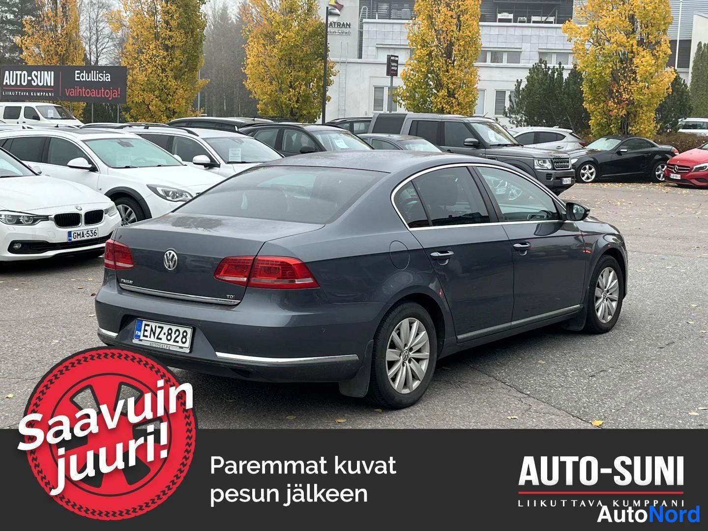 Harmaa Volkswagen Passat 2014, takaviisto, kuva 4