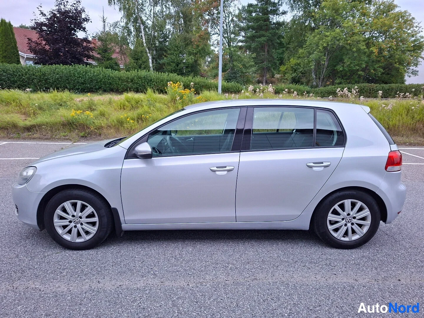 Hopea Volkswagen Golf 2011, sivulta, kuva 4