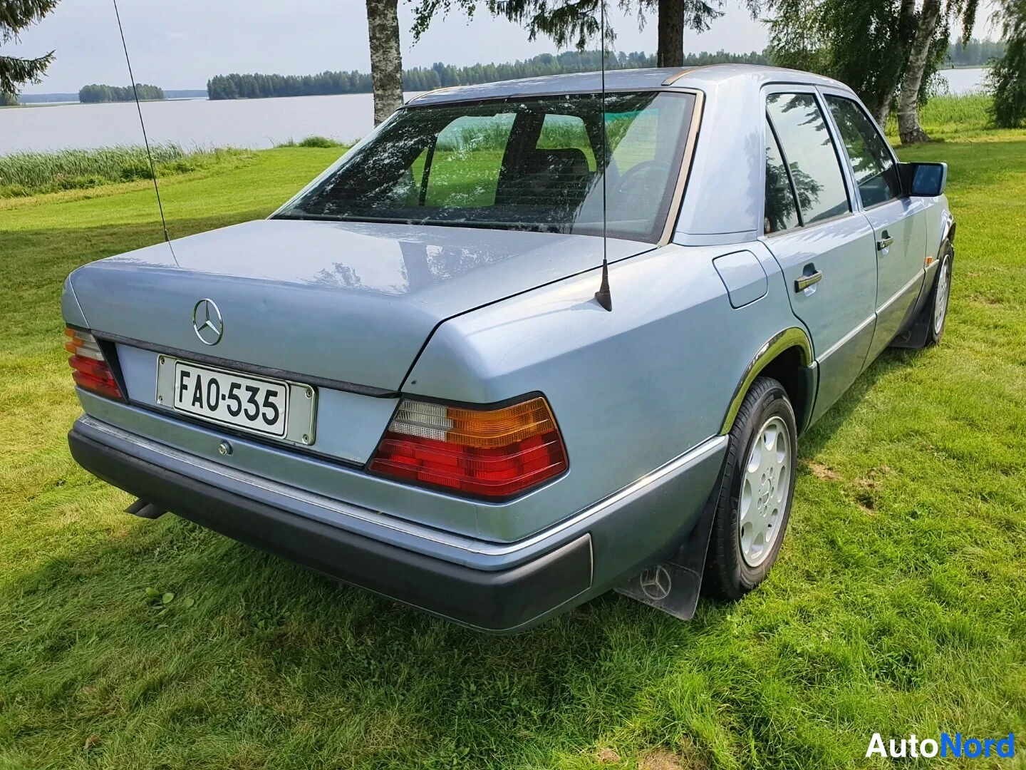Sininen Mercedes-Benz E Rahoitus 1990, takaviisto, kuva 6