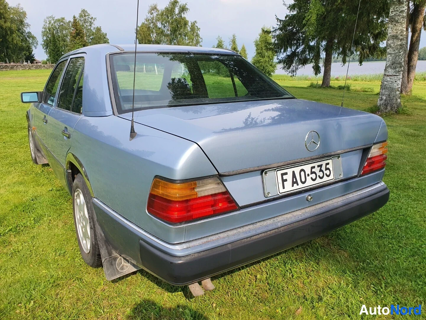 Sininen Mercedes-Benz E Rahoitus 1990, takaviisto, kuva 7