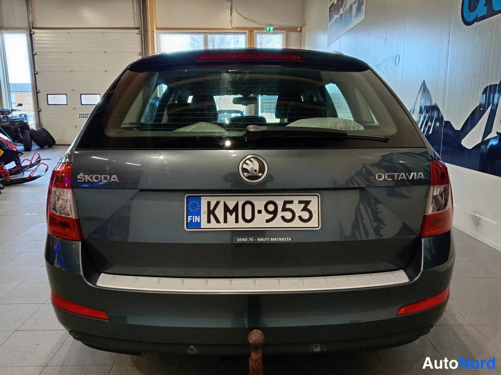 Harmaa Skoda Octavia 2014, takaa, kuva 8